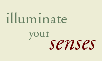 illuminate your senses